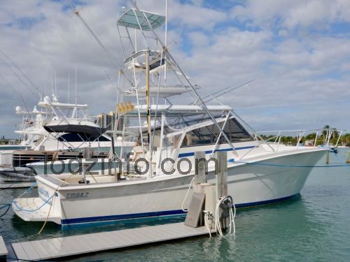 Topaz 32 Express karta techniczna i opinie